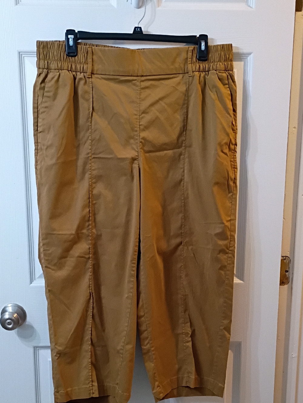 Lane Bryant Tan Pull-On Chinos